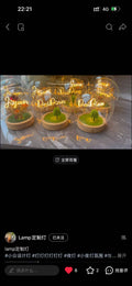 Personalized Couple Globe Night Light with Names
