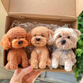 Custom Handmade Pet Figurine from Chenille Stems