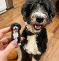 Personalized Handmade Polymer Clay Pet Figurines