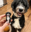 Personalized Handmade Polymer Clay Pet Figurines